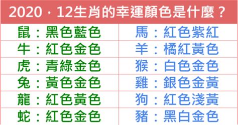 龍年幸運色|2024龍年生肖開運秘訣！幸運色、幸運數字、招財方位公開，立。